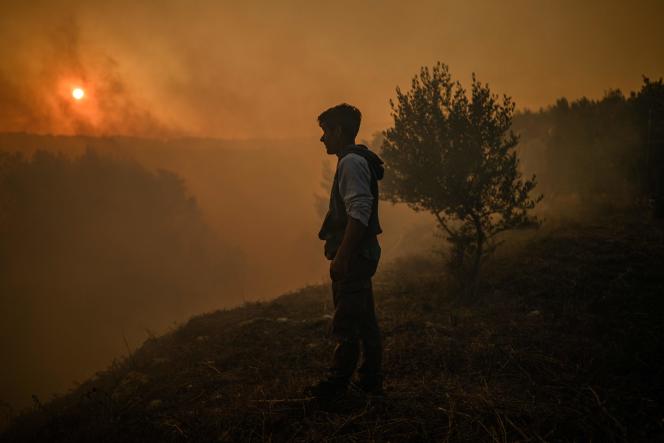 Dans le village de Zambujeiro (Portugal), le 25 juillet 2023. 