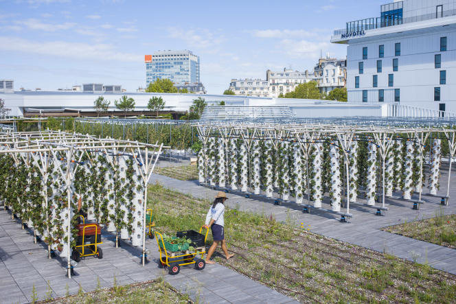  La ferme urbaine installée sur les toits du Parc des expositions de la porte de Versailles, à Paris, le 9 septembre 2020. 
