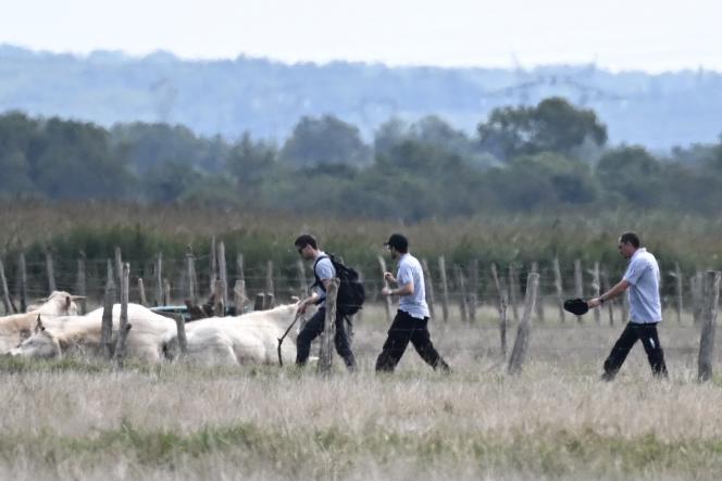 Des membres du Bureau d’enquêtes et d’analyses pour la sécurité de l’aviation civile lors des recherches menées après le crash de l’avion piloté par Gérard Leclerc, le 16 août 2023.