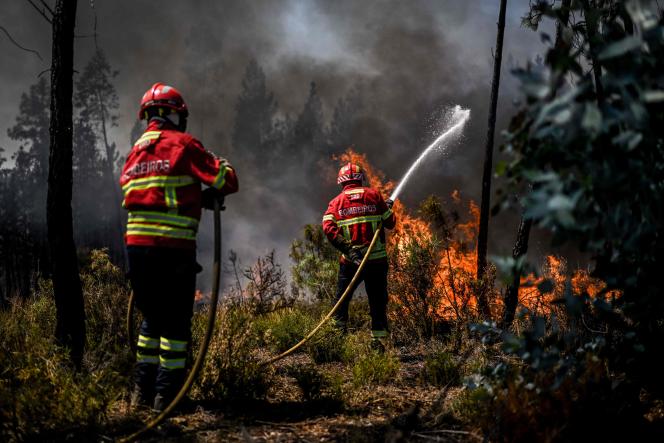 Des pompiers interviennent sur un incendie de forêt, à Carrascal, au Portugal, le 6 août 2023.