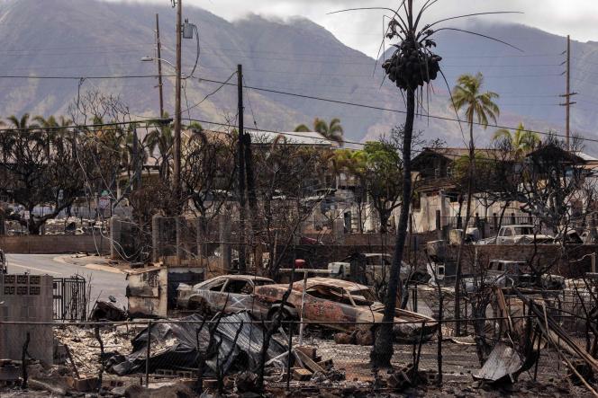 Scène de désolation après les incendies qui ont détruit, les 8 et 9 août, la cité balnéaire de Lahaina, à Hawaï (Etats-Unis), le 16 août 2023.